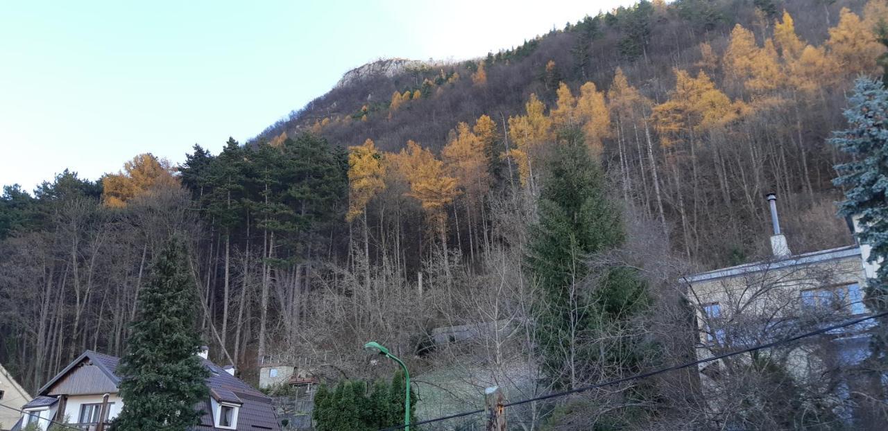 Brasov Valley Apartment ภายนอก รูปภาพ