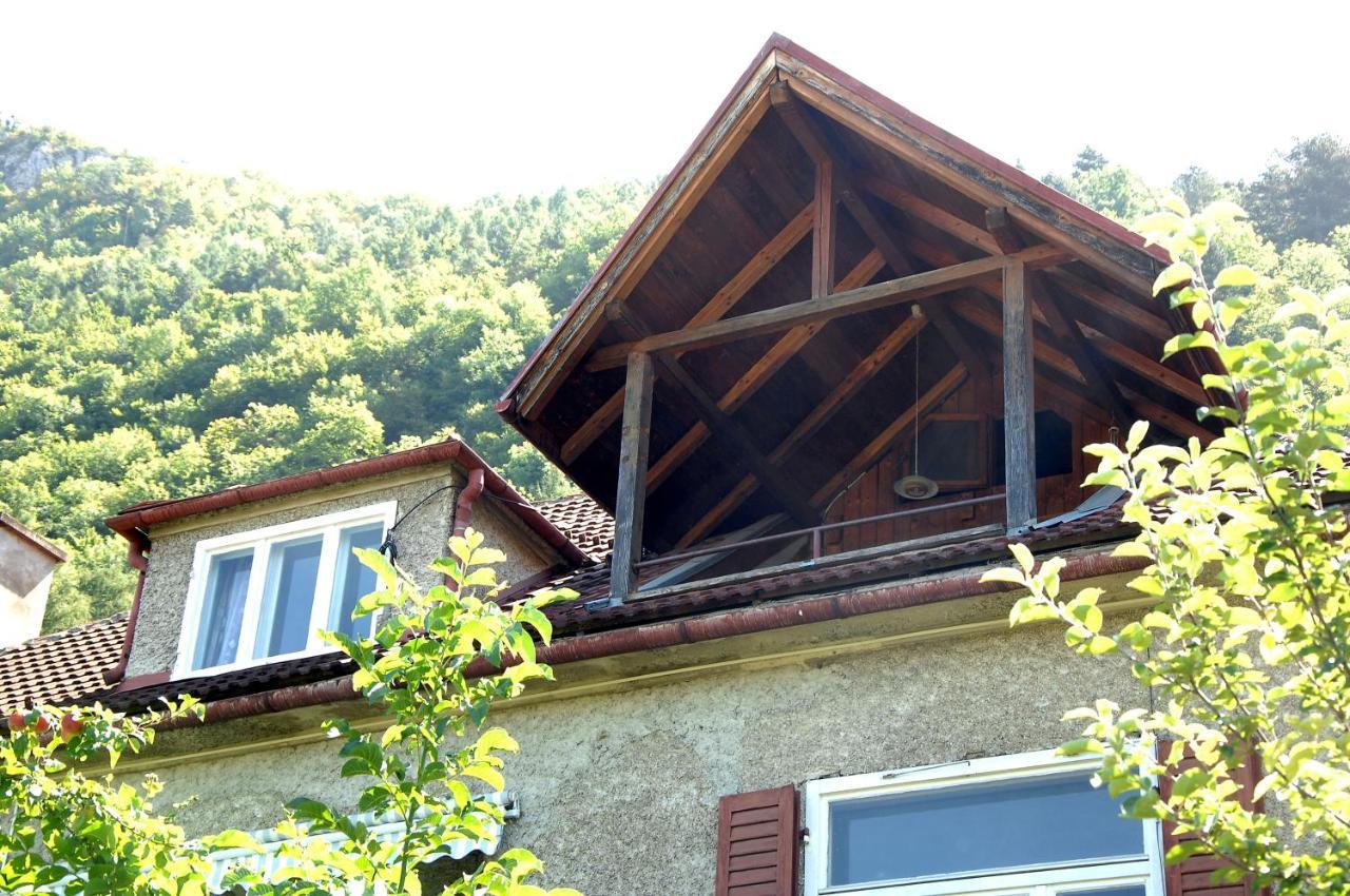 Brasov Valley Apartment ภายนอก รูปภาพ